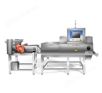 堅果專用高速散料X射線檢測機