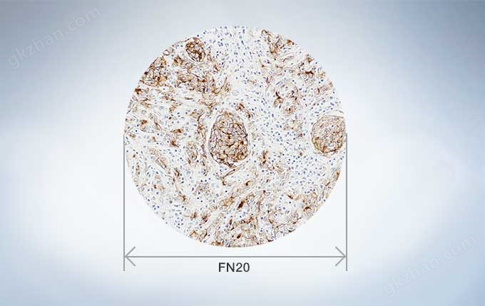 OLYMPUS奧林巴斯 CX33生物顯微鏡 【三目|雙目】-普赫光電