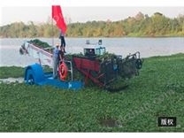湖北武漢水葫蘆打撈船