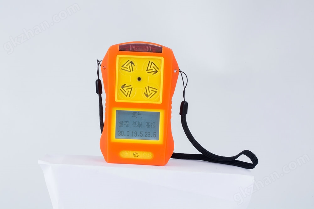 NA80 单一气体检测仪