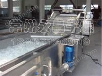 紅棗鼓泡清洗機(jī)