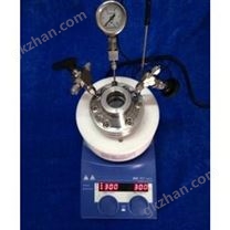 微型可视高压反应釜WCGF-300ml