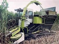 科脈機械9QZ-1.8自走式青飼料收獲機