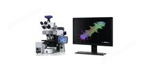 【正置顯微鏡】研究級生物顯微鏡 - Axio Imager 2