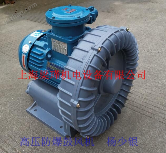 防爆透浦式鼓風(fēng)機(jī)