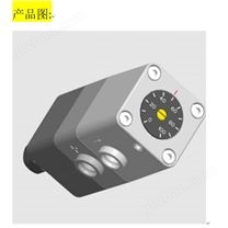 FischerDS34壓力傳感器 希而科*